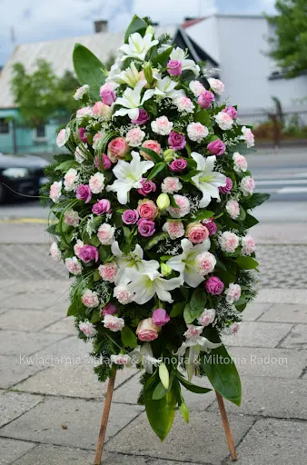 Kwiaciarnia MAGNOLIA Radom